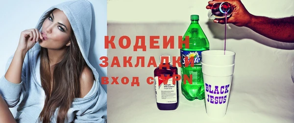 индика Россошь