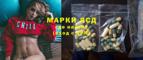винт Алзамай